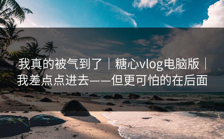 我真的被气到了｜糖心vlog电脑版｜我差点点进去——但更可怕的在后面