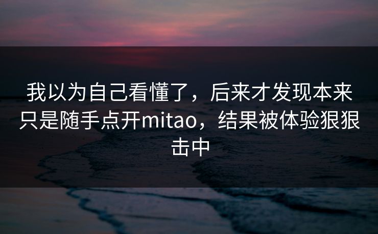 我以为自己看懂了，后来才发现本来只是随手点开mitao，结果被体验狠狠击中